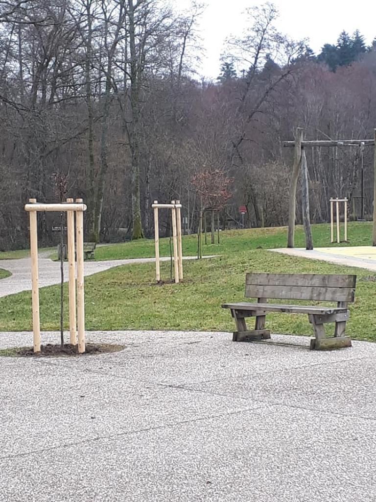 Travaux de plantation aux abords du lac de Bouzey, avec plusieurs essences plantées.