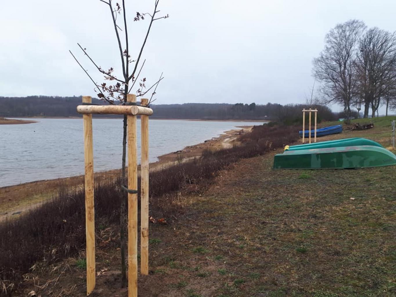 Travaux de plantation aux abords du lac de Bouzey, avec plusieurs essences plantées.