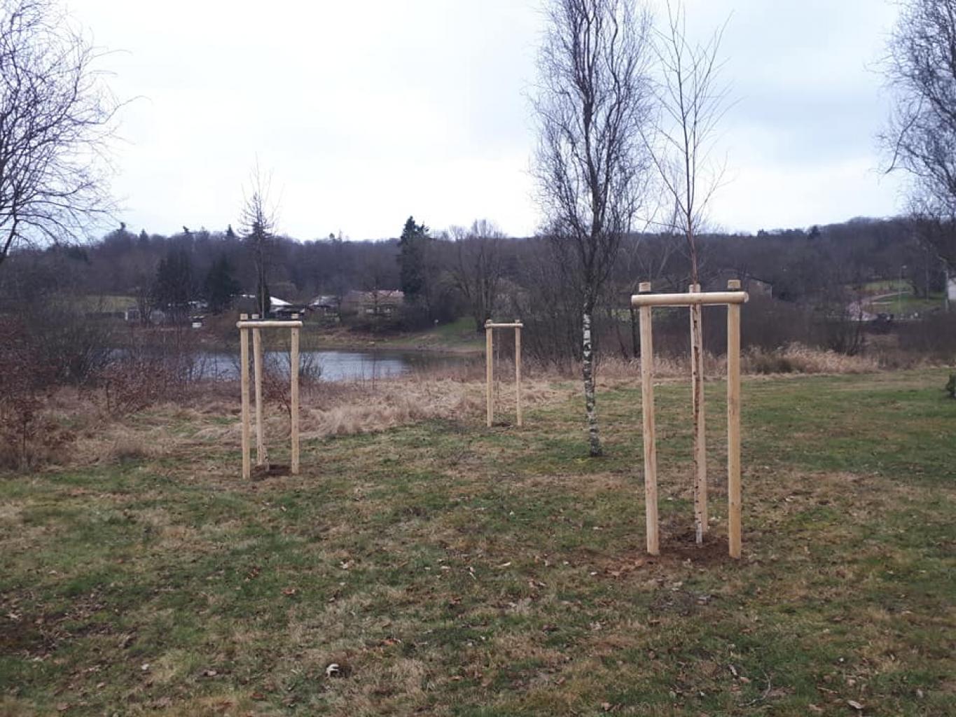 Travaux de plantation aux abords du lac de Bouzey, avec plusieurs essences plantées