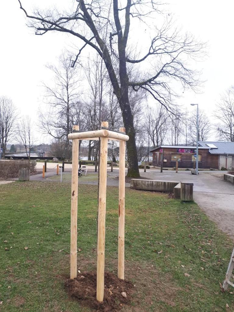 Travaux de plantation aux abords du lac de Bouzey, avec plusieurs essences plantées.